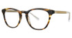 Lilly Pulitzer Eyeglasses Sheree Honey Tortoise/HO