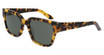Dragon DR ROWAN LL POLAR SHINY TOKYO TORTOISE/ LL G15 P/242