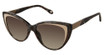 FYSH Eyeglasses FYSH 2105 ASH TAUPE/S402