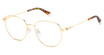 Polaroid Eyeglasses PLD D509/G GOLD/0J5G