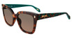 Just Cavalli Eyeglasses SJC044 Havana Brown 09AJ