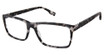 Evatik Eyeglasses EVATIK 9269 MATTE GREY TORT/M403