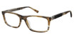Champion Eyeglasses WHIM BROWN TORTOISE/C02