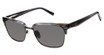 Ted Baker Eyeglasses TMS172 grey/GRY