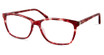 Modo Eyeglasses 6555 BURGUNDY TORTOISE/BGTT