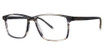 Paradigm Eyeglasses Garcia Steam Horn/SH