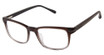 Barbour Eyeglasses BAOM008 Brown/BRN