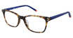 2BB Eyeglasses DORI TORTOISE COBALT/C01