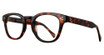 Eight to Eighty Eyewear Ezra Tortoise