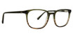 Life is Good Eyeglasses Nico Green/GRN