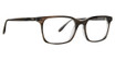 Badgley Mischka Eyeglasses Donovan Charcoal/CHA