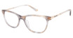 Nicole Miller Eyeglasses MAJESTIC TRANS BROWN/C01