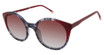 Champion Eyeglasses WREN BLACK TORTOISE/C01