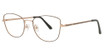 Cafe Lunettes CAFE3376 Black/Champagne/C-3
