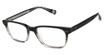 Ted Baker Eyeglasses TLM006 black/BLK