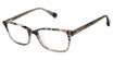 Ted Baker Eyeglasses TLW009 grey/GRY