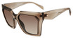 Police Eyeglasses SPLN58M Transparent Beige 07T1