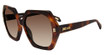 Just Cavalli Eyeglasses SJC087 Shiny Dark Havana 0752