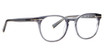 Trina Turk Eyeglasses Pearce GREY/GRY