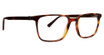 Argyleculture Eyeglasses Farro TORTOISE/TOR