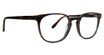 Badgley Mischka Eyeglasses Evan BROWN/COBALT/BRC