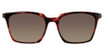 Vera Bradley Eyeglasses Tate TORTOISE/TOR