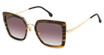Carrera Eyeglasses CARRERA 3031/S BRW HORN B/0EX4