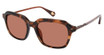 ROBERT GRAHAM Eyeglasses DARRIO Tortoise/TOR