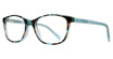 Eye Q Eyewear Eyeglasses SW535 DEMI TEAL/TEAL