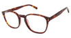 Isaac Mizrahi New York Eyeglasses IM 36004 Tortoise/TT