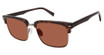 Isaac Mizrahi New York Eyeglasses IM 36203 Tortoise/TT