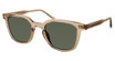 Modo Eyeglasses 800 BROWN OLIVE/BWLV