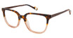 True Religion Eyeglasses T2008 Tortoise/TOR