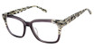 L.A.M.B. Eyeglasses LA137 grey/GRY