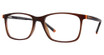 Global Optique UP942 BROWN