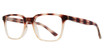 Affordable Designs Eyeglasses Neil Brown Demi