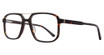 Eyera Eyeglasses Juan Tortoise