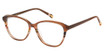 Glen Lane Eyeglasses TAYLOR BROWN/BRN