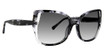 Trina Turk Eyeglasses Jicaro BLACK/BLK