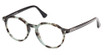 Web Eyeglasses WE5427 coloured havana/055