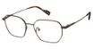 Ben Sherman Eyeglasses MAIN BROWN/C01