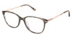 Steel + Tate Eyeglasses SLTA-0006 GREY ROSE GOLD/S403