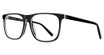 Eye Q Eyewear WEMBLEY BLACK/BLK