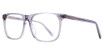 Eye Q Eyewear WEMBLEY CRYSTAL GREY/GREY