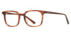 Vivid Eyeglasses VIVID 967 demi brown