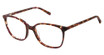 Steel + Tate Eyeglasses SLTA-0015 HAVANA PURPLE/S407