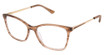 Superflex Eyeglasses SF-1180T BROWN GRADIENT GOLD/S202