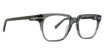 Trina Turk Eyeglasses Garrett ASH/ASH