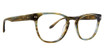 Badgley Mischka Eyeglasses Zach OLIVE HORN/OHO