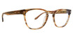 Badgley Mischka Eyeglasses Zach BROWN HORN/BRH